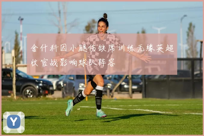 舍什科因小腿伤缺席训练无缘英超收官战影响球队阵容